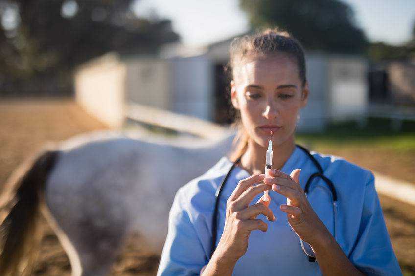 Close up of female vet holding syringe at barn