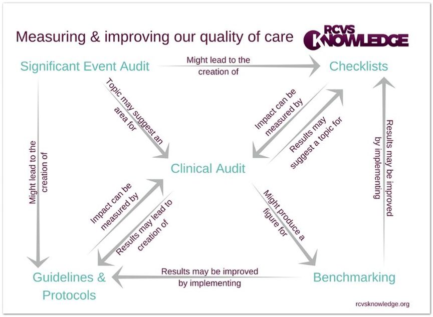 Vet clinical audit