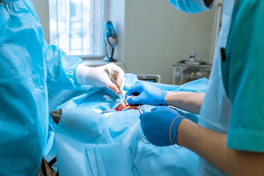 Dog sterilization surgery. Surgeons at work in vet clinic