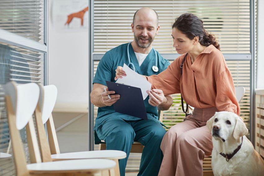 Portrait of young woman talking to smiling veterinarian in waiting room at vet clinic with white dog, copy space