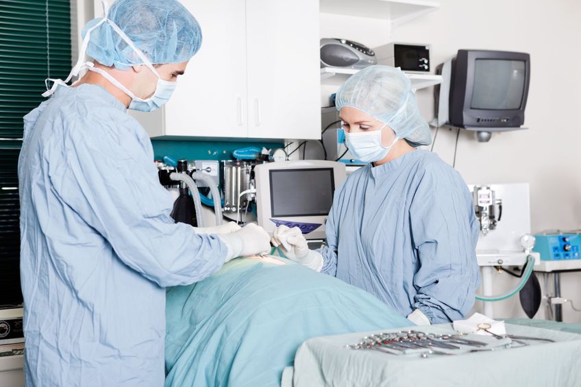 Veterinarian Doctor And Female Assistant Performing A Surgery