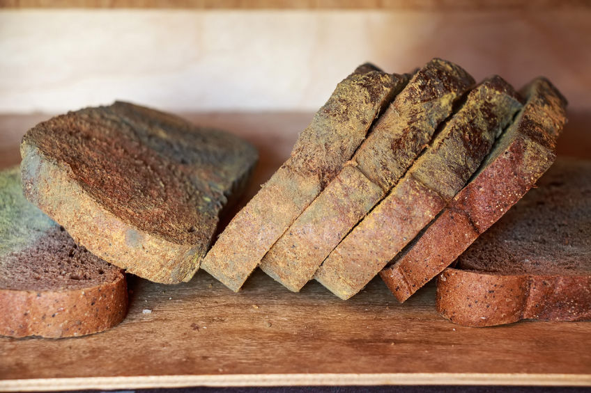 mouldy bread