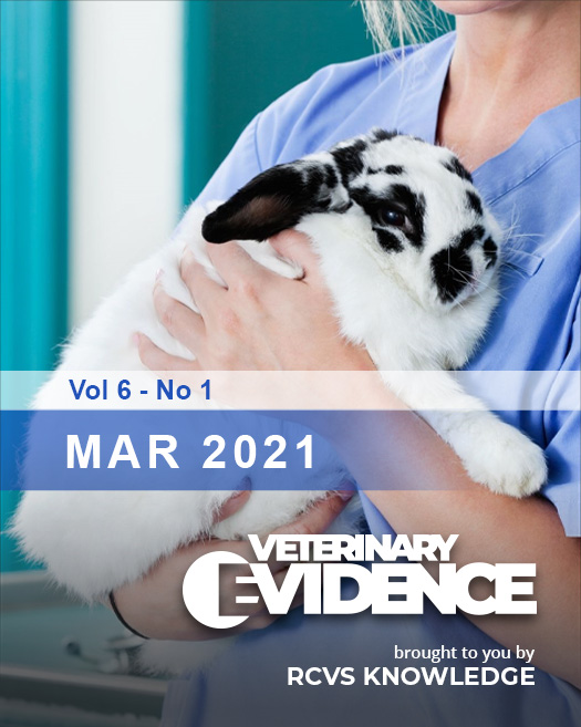 Vet holding a rabbit